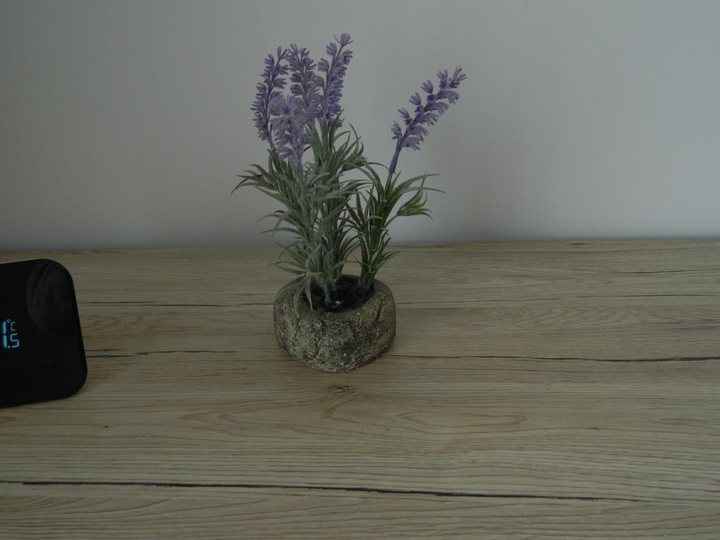 Apartament Monadin Ultracentral * Brasov